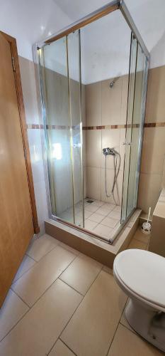 La salle de bains est pourvue d'une douche et de toilettes. dans l'établissement Peaceful holidays in Pereybere, à Pereybere