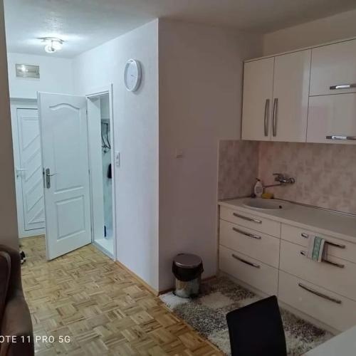 een keuken met een wastafel en een deur naar een douche bij Apartman Kosta in Vrnjačka Banja