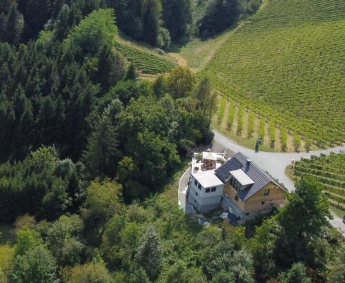 Bullas Weinlandstudio