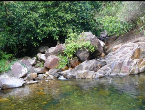 a stream of water with rocks and trees at White Villa Kitulgala in Kitulgala