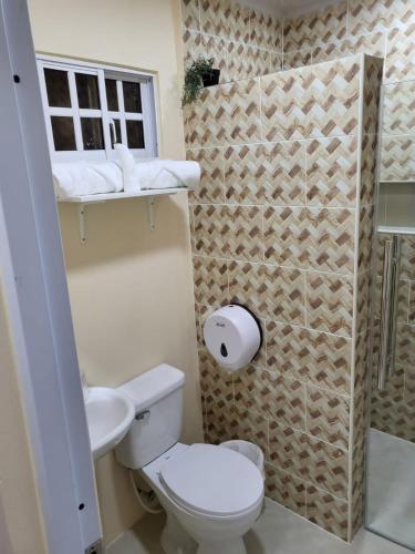 a small bathroom with a toilet and a sink at Apartahotel MACADANA in Nagua