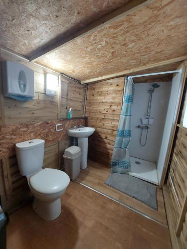 uma casa de banho com um WC, um lavatório e um chuveiro em Rum Bridge 'Hazels' Pet Friendly Glamping Pod em Clare