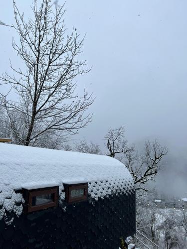 a snow covered roof of a building with windows at Woodhide - Cottages near Batumi, Georgia in Zeda Ch'khutunet'i