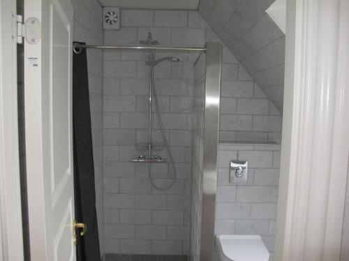 a bathroom with a shower with a sink and a toilet at Guesthouse Sharon Apartments in Aarhus