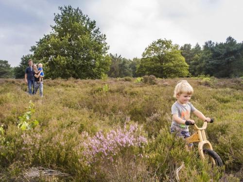 Landal Drentse Lagune – Photos 5