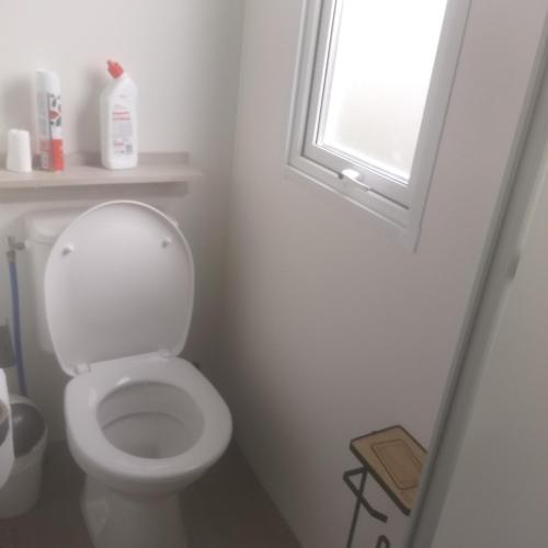 a white bathroom with a toilet and a window at Domaine in Litteau