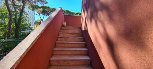 Gallery image of La Casa del mare in Rosolina Mare