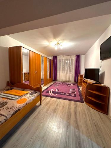 a large room with a bed and a tv and a room with at Apartament Băile Herculane in Băile Herculane