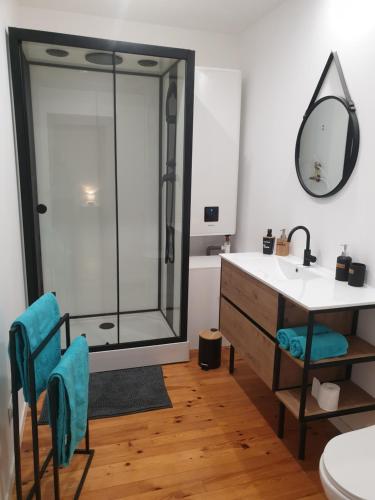 ein Bad mit einer Dusche, einem Waschbecken und einem Spiegel in der Unterkunft sas Road Runner Café in Égliseneuve-dʼEntraigues