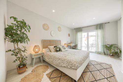 São Gonçalinho Alegria by Home Sweet Home Aveiro