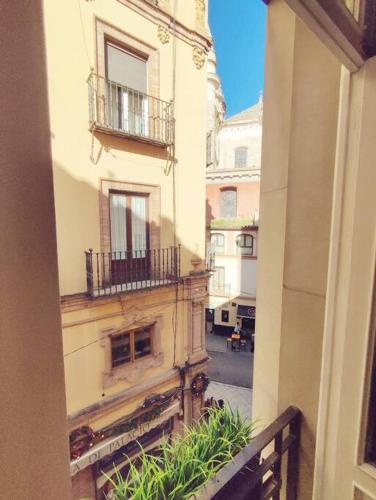 Estudio Centro de Sevilla