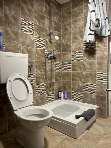 a bathroom with a toilet and a shower with a tub at Apartmani "Stari Grad - Samobor" in Samobor