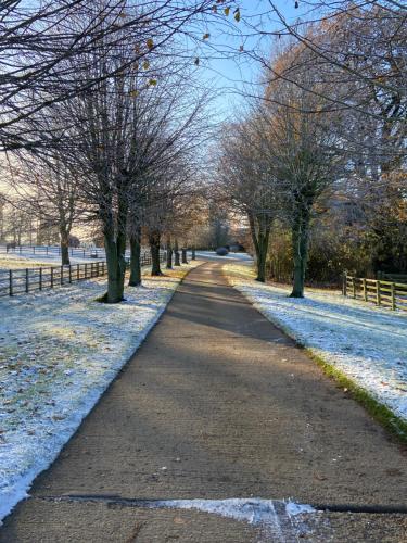 a snow covered path in a park with trees at Tilly’s stable in Pattishall