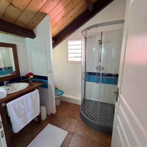 a bathroom with a shower and a sink at La Rose du Marisol in Le Gosier