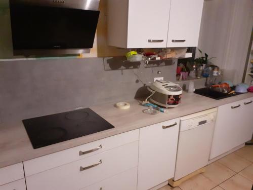 - une cuisine avec un comptoir et un microscope dans l'établissement bel appartement de 56 m² au calme et de plein pied, à Bust