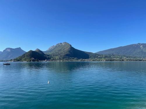 een grote hoeveelheid water met bergen op de achtergrond bij Lâchez Prise in Saint-Jorioz