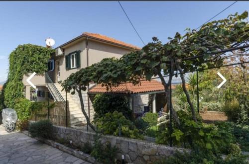 a house with a tree in front of it at Apartments Ita - Postira in Postira