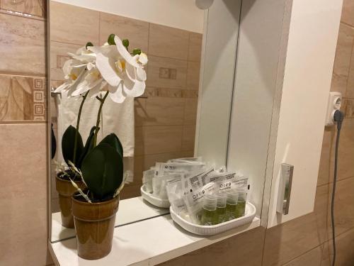 a white flower in a vase on a shelf in a bathroom at Neuhausz Residenz Ultra-Central Apartment in Timişoara