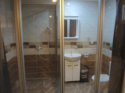a bathroom with a shower and a sink at Rooms&Restaurant 43 in Belgrade