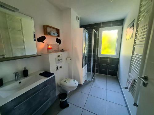 La salle de bains est pourvue d'un lavabo, de toilettes et d'une douche. dans l'établissement Joli Appartement vue montagne, cosy avec jardin, à Bonneville