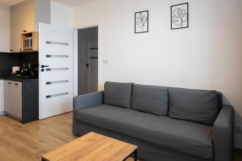 Sala de estar con sofá gris y mesa en Apartament przy PILECKIEGO 34, en Biała Podlaska