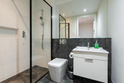 a bathroom with a toilet and a sink and a shower at Fernbank in Dublin