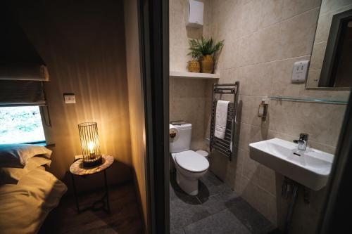 a small bathroom with a toilet and a sink at Yorkshire Dales Lodge 10 Ensuite in Richmond