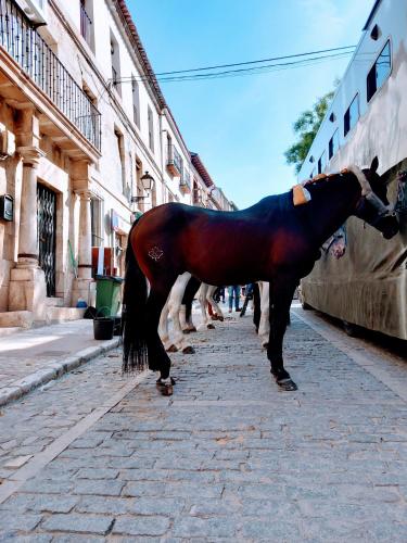 a horse statue standing on a street at Casa de las Lías in Chinchón