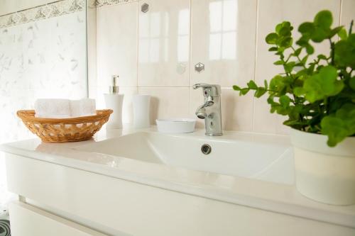 a bathroom sink with a plant and a faucet at Casa da Horta Açores in Ponta Delgada