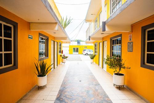 a hallway of a building with yellow walls and potted plants at Posada del Ángel in Pachuca de Soto