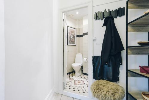 a bathroom with a toilet and a mirror at Elegant, evocative and cosy home in Østerbro with a panoramic view. Eco-friendly. 1km harbour/ beach, 3km- city center, 13km-airport. in Copenhagen