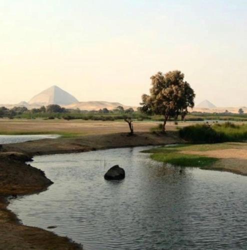 snfro cafe – Photos 2