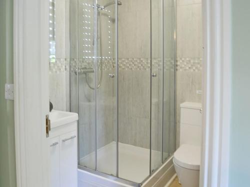 a bathroom with a shower and a toilet at Lily Broad Cottage in Burgh Saint Margaret