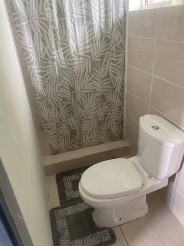 a bathroom with a toilet and a shower curtain at Curacao Cozy Apartment in Willemstad
