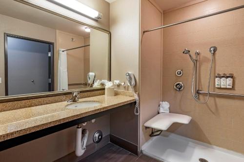 a bathroom with a sink and a shower at Holiday Inn Express & Suites Indio - Coachella Valley, an IHG Hotel in Indio