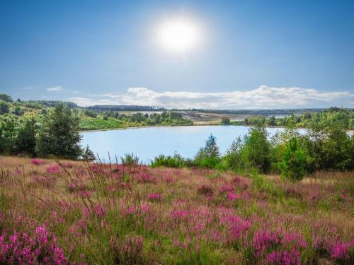 - une vue sur un lac avec des fleurs roses dans un champ dans l'établissement Landal Mooi Zutendaal, à Zutendaal