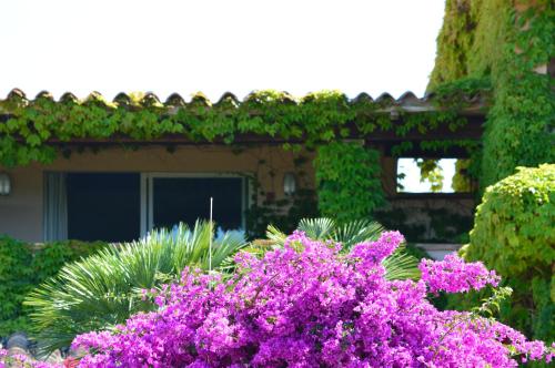 a garden with purple flowers in front of a house at Residence Fenicia in Villasimius