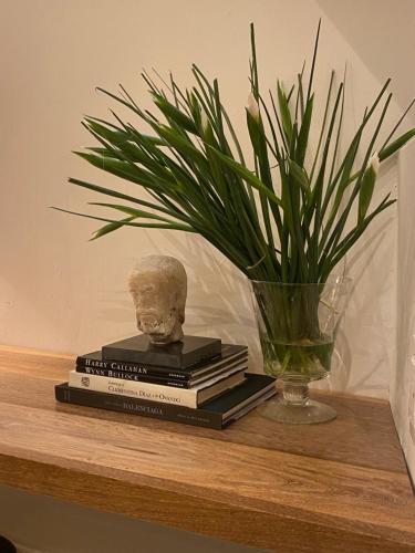 a plant sitting on a shelf with books and a vase at Hotel Atia in Guadalajara