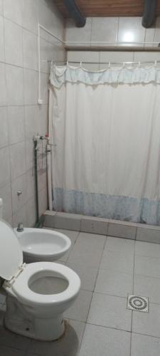 y baño con aseo y ducha. en La georgi 2 en Luján de Cuyo
