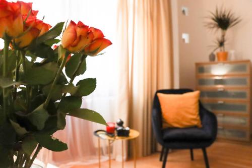 Josephine apartment 1066 Budapest, Lovag utca 8 1 kép - 3