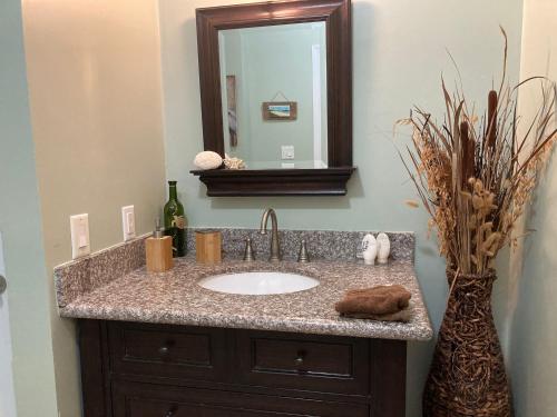 ein Bad mit einem Waschbecken und einem Spiegel in der Unterkunft Lakeview bed & breakfast in Freeport