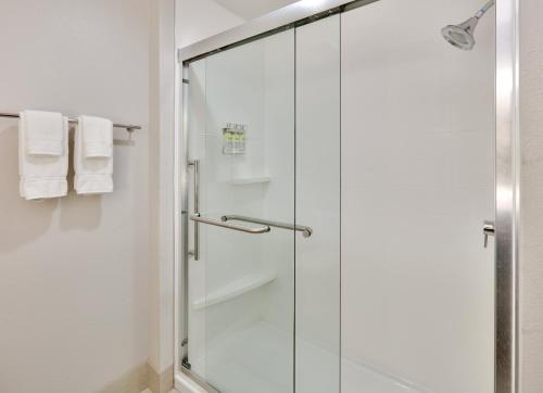 W łazience znajduje się prysznic ze szklanymi drzwiami. w obiekcie Holiday Inn Express & Suites Fort Worth North - Northlake, an IHG Hotel w mieście Fort Worth