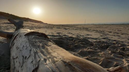 a log on a beach with the sun in the background at Słowińskie Widoki domki Flora, Fauna, noclegi Smołdziński Las in Smołdziński Las