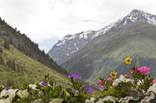 Naturlandschaft in der Nähe des Hotels