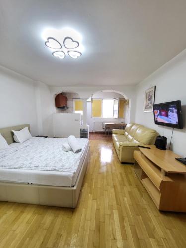 een slaapkamer met een bed, een bank en een televisie bij Avrig-Ferdinand Studio in Boekarest