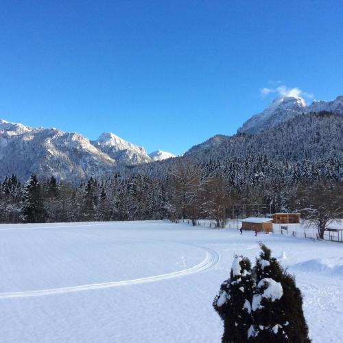 a snow covered field with mountains in the background at Ferienwohnung Herzstück im Haus Schlossblick in Füssen