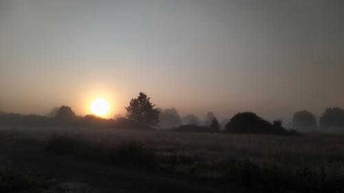 a misty sunrise in a field with the sun in the background at Słowińskie Widoki domki Flora, Fauna, noclegi Smołdziński Las in Smołdziński Las