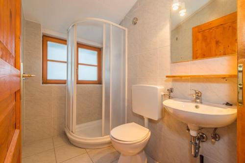 a bathroom with a shower and a toilet and a sink at Mala Vas Chalet in Bovec