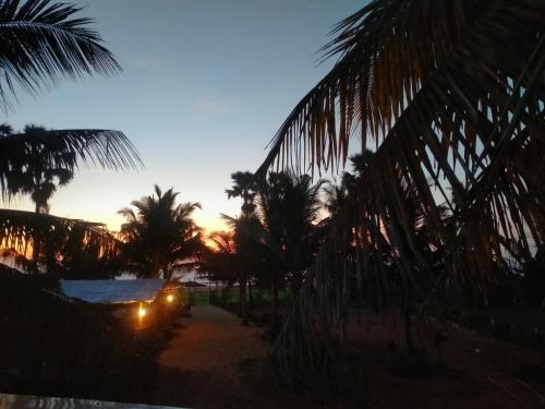 The Ocean View – Photos 2