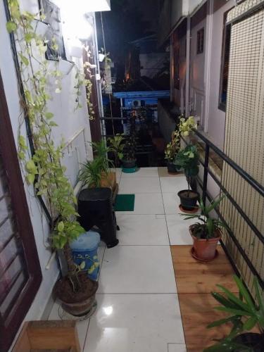 a hallway with potted plants on the side of a building at lloydskochi home stay in Cochin